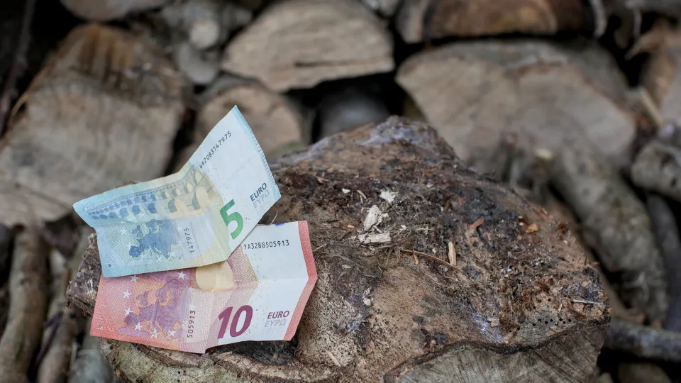 Fogo controlado: Governo paga até 365€ por hectare e
