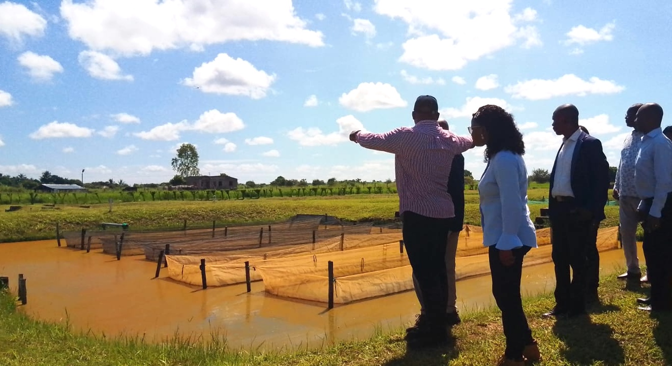 Investidos USD 120 milhões em projetos de aquicultura