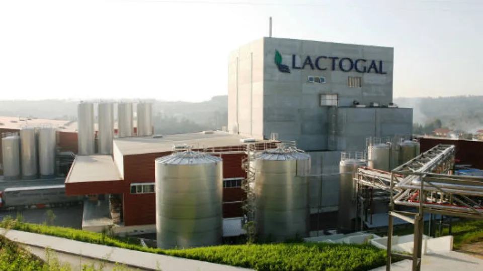 Lactogal estima queda nos lucros em 2025 para cerca de 10