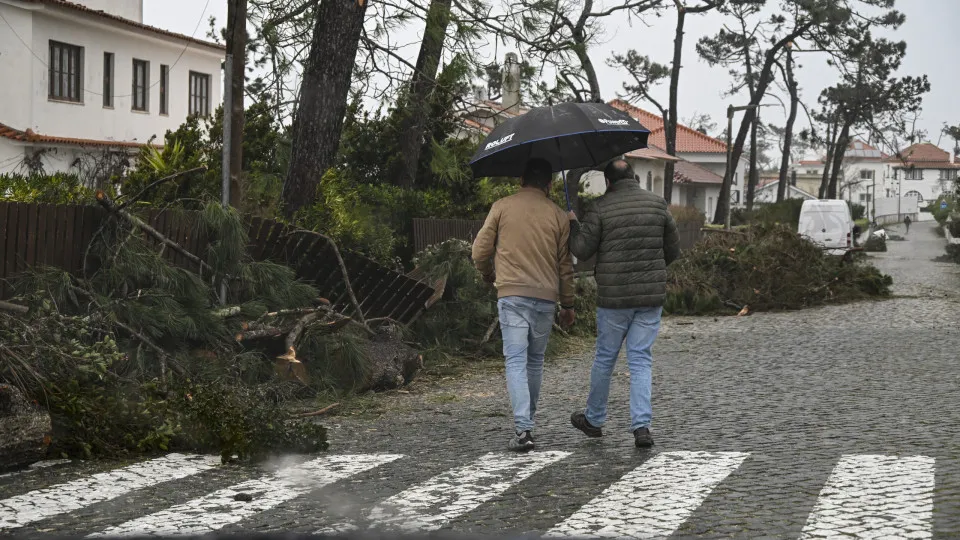 Linhas de crédito estão a chegar a "número muito limitado"