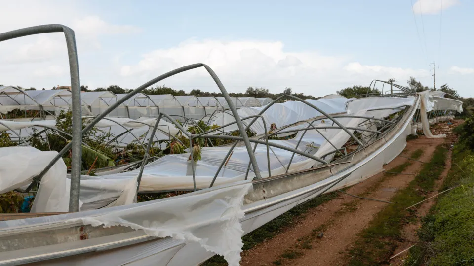 Prejuízos no setor agrícola rondam 500 milhões e ajudas não