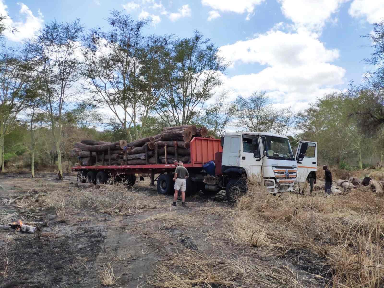 Executivo Lança Plano Estratégico 2026-35 Para o Sector