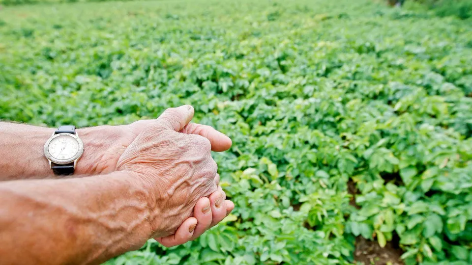 Governo apoia regadio com 60 milhões e fertilizantes com 20