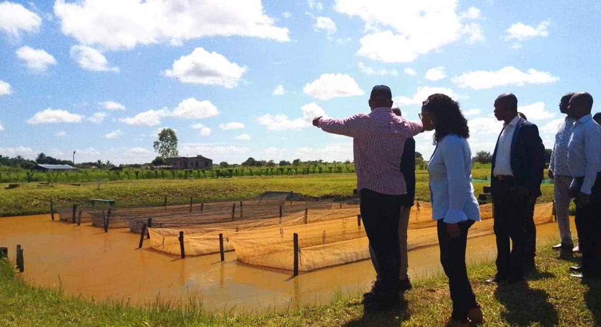 Investidos USD 120 milhões em projetos de aquicultura