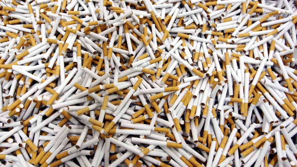 Tabaco vale quase 225 milhões a Moçambique em exportações