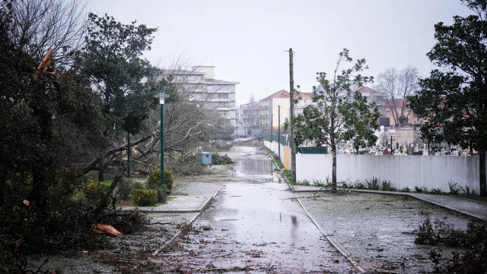 Tempestades. Aberto concurso com 20 milhões para