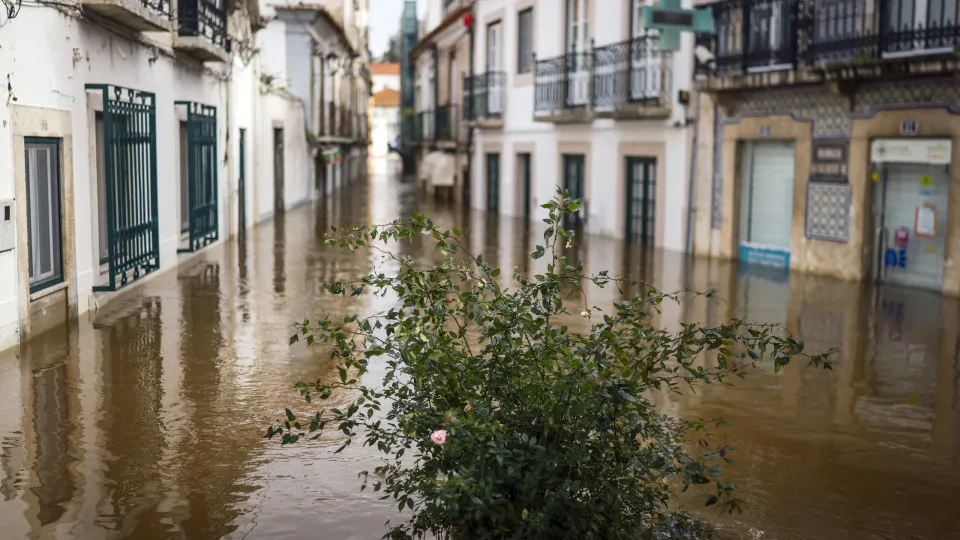 Tempestades: Já há regras para apoio social e "lay-off"