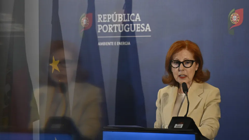 Governo quer reduzir para metade dependência energética em