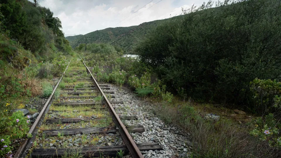 IP quer substituir duas pontes que restringem locomotiva a
