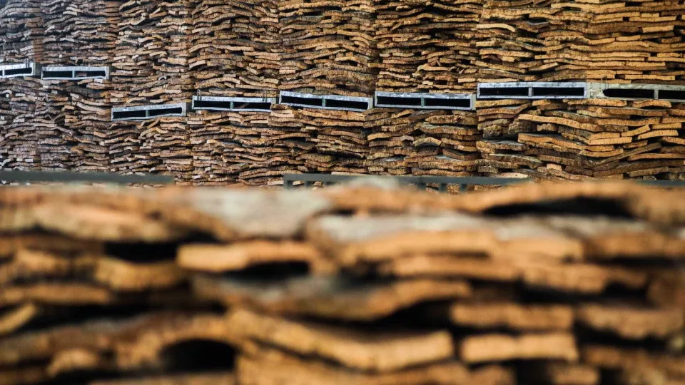 Lucro da Corticeira Amorim cai 6,5% para 15,4 milhões no 1.º