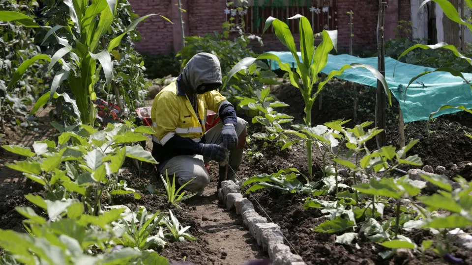 Mais de metade das terras em Angola sofreram perdas em