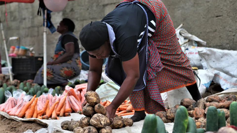 Moçambique projeta mais de 21 milhões de toneladas de